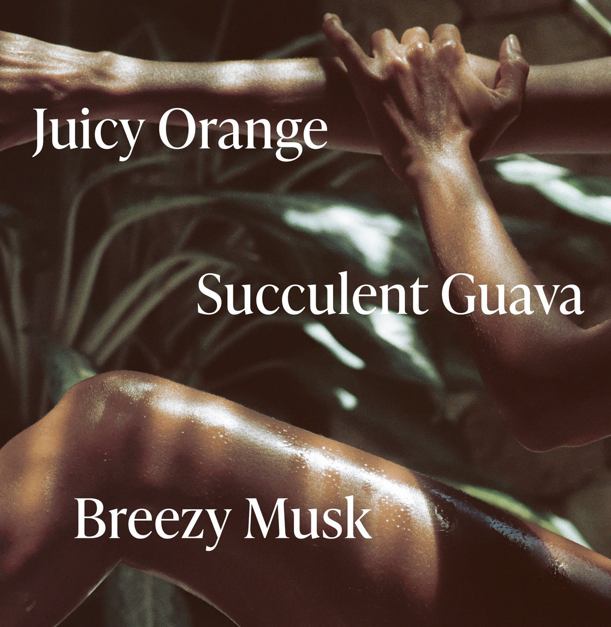 Exotic Pulp - Body Butter