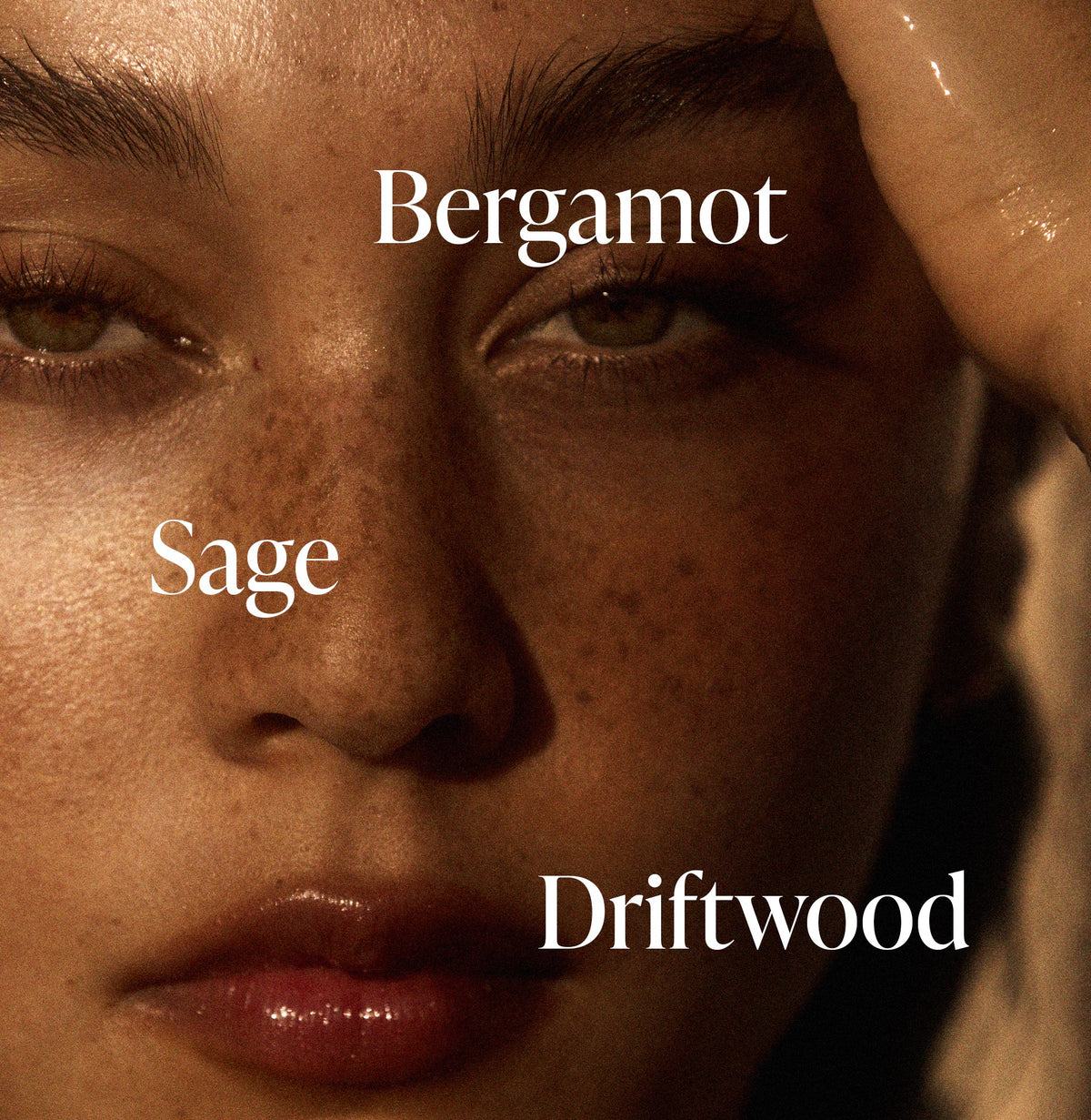 Driftwood - Body Oil