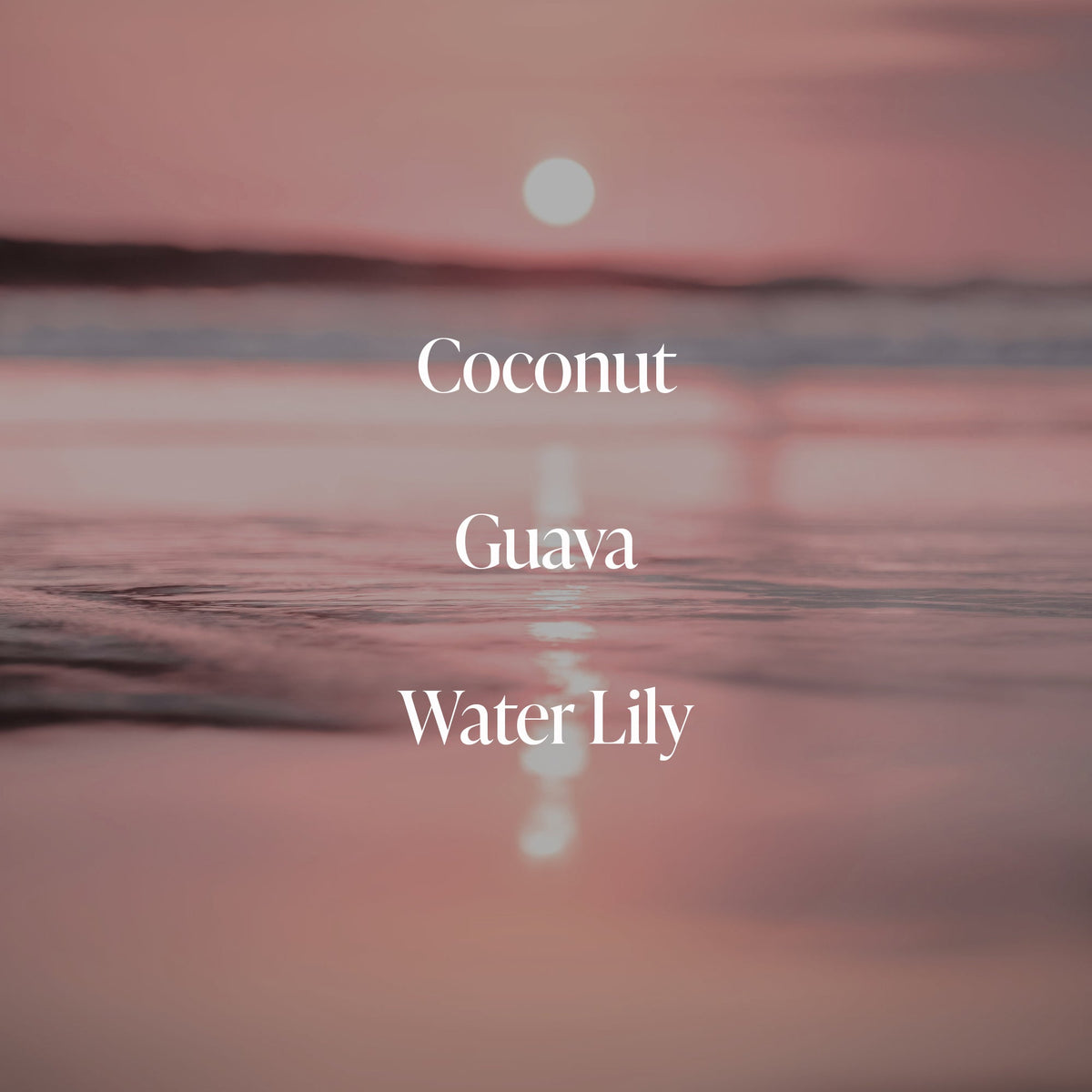 Coral Coast - Body Butter 2pck